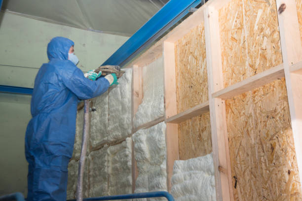 Best Insulation Inspection Services  in USA